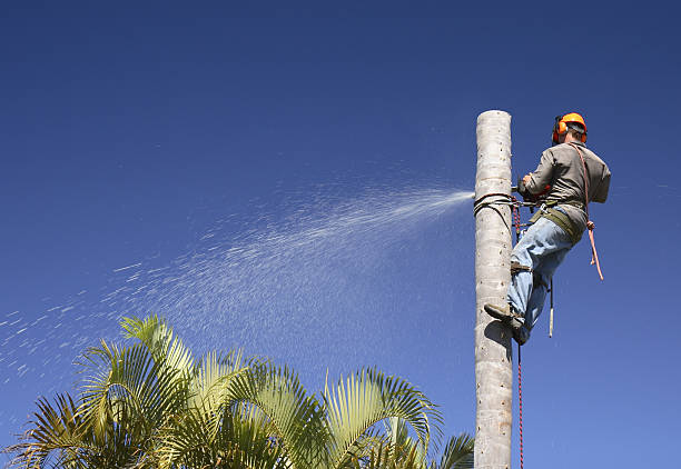 Lawn Watering Services in Leith Hatfield, PA